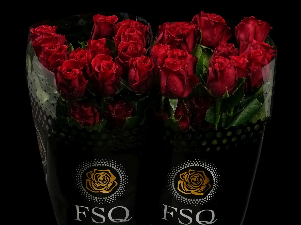 ECUADOR_ROOS_ROSA_ROSE_FLOWER_